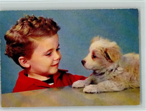 Hundewelpe schaut den Jungen treu an