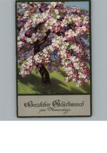Meissner u. Buch Serie 2347