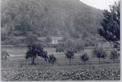 Wilgartswiesen Foto