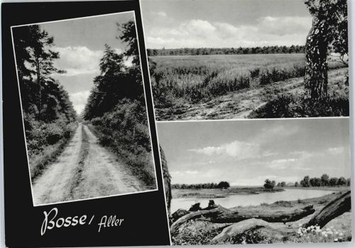 Bosse Fluss Baum Feld