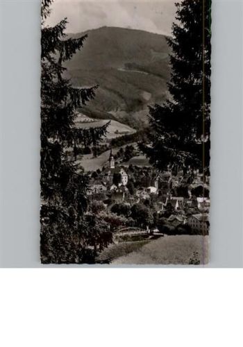 Waldkirch