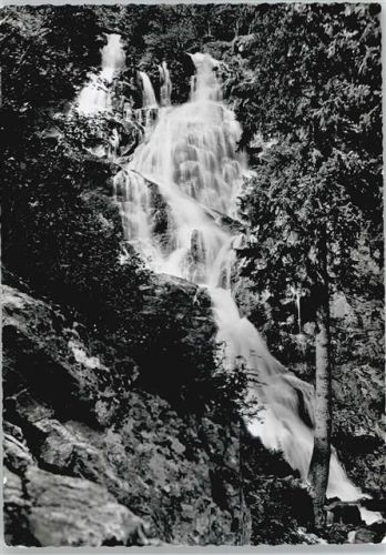 Todtnau Wasserfall Baum Felsen