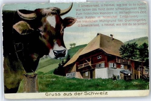 Kuh, Poesie
