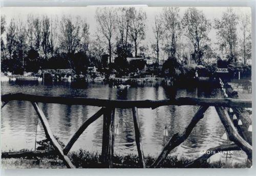 Alphen Fluss Schwan