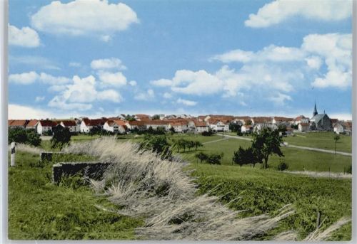 Monzelfeld