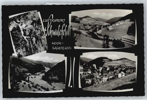 Schwalefeld Berg Panorama Feld Haus Baum Reh