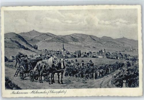 Maikammer Kutsche Panorama
