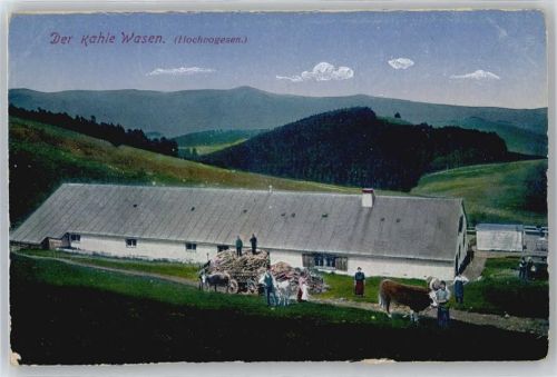 Strasbourg kahle Wasen