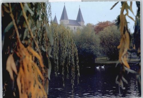 Königslutter Dom Teich Schwan Baum Wiese