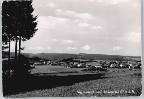 Nöggenschwiel