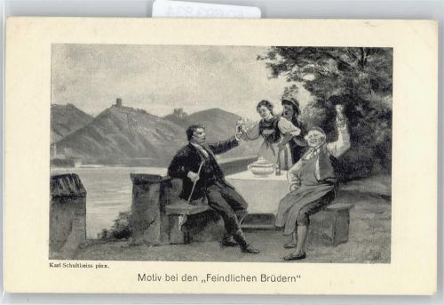 Rheinstein Panorama