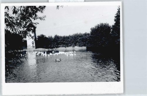 Niederroßbach Teich , Foto