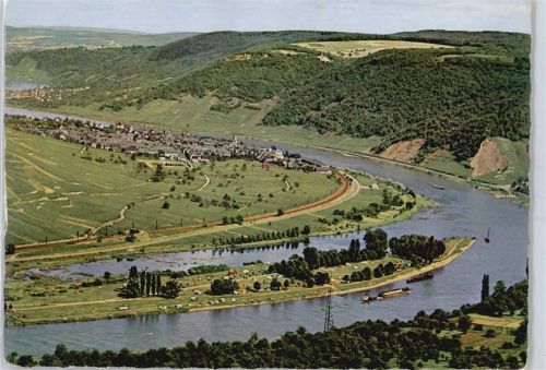 Winningen Berg Panorama Fluss