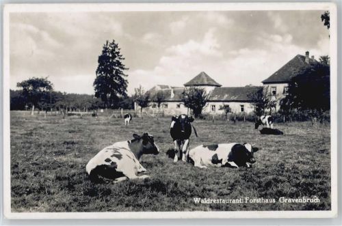 Neu-Isenburg Kuh, Restaurant Forsthaus Gravenbruch