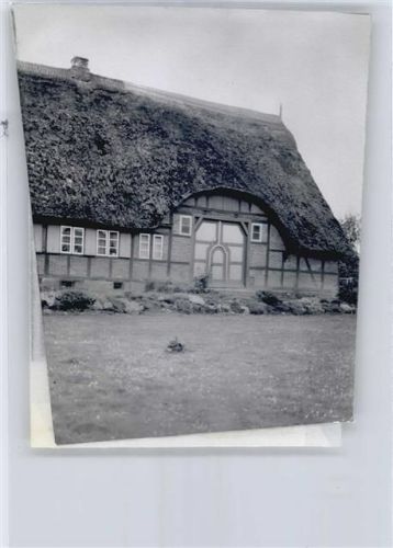 Krummbek Foto mit Negativ