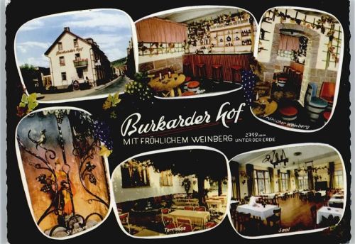 Klingenberg Hotel Burkarder Hof mit fröhlichem Weinberg