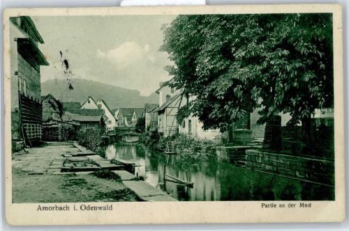 Amorbach Partie an der Mud