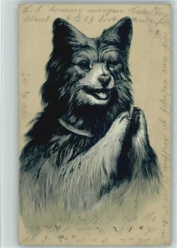 1903 Litho AK
