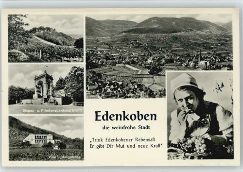 Edenkoben Kropsberg Sieges- u. Friedensdenkmal Villa Ludwigshöhe