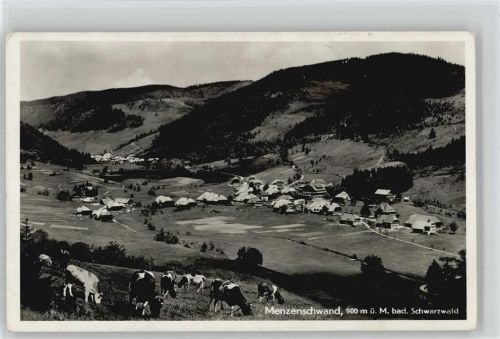 Menzenschwand