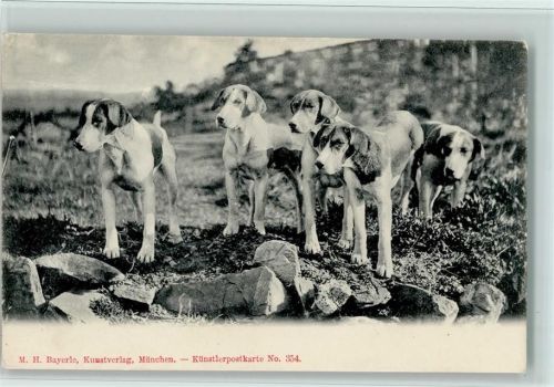 Hunde