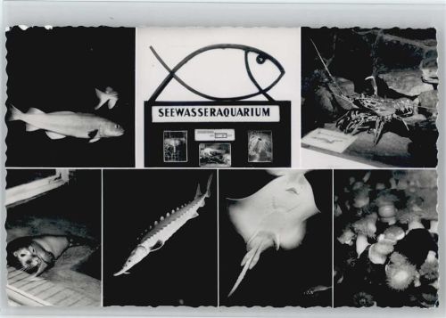 Wilhelmshaven Seewasseraquarium