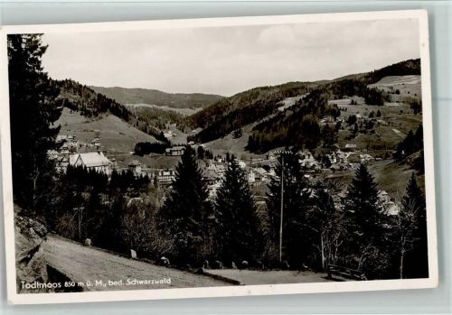 Todtmoos Teilansicht
