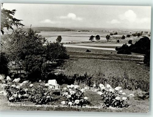 29640 W3043 Schneverdingen - Fernblick vom Höpenberg