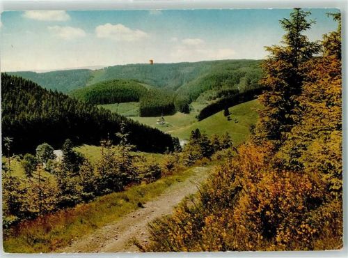 Schönwald