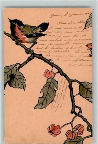 1903 Rotkehlchen auf einem Zweig , Serie 17 , Tournier & Cie