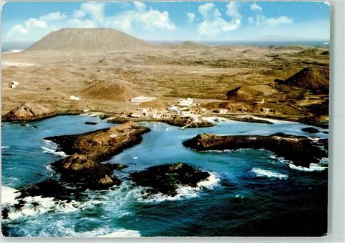 Lobos Isla de los Lobos