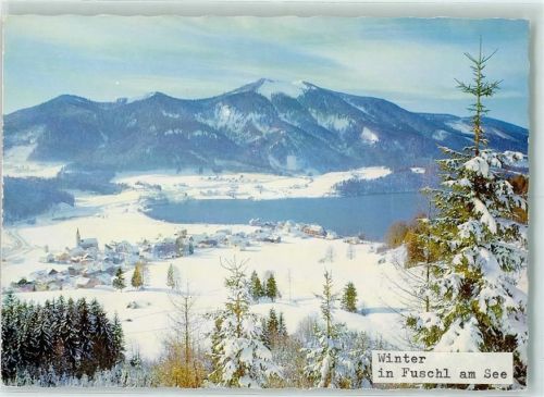 Fuschl Winter