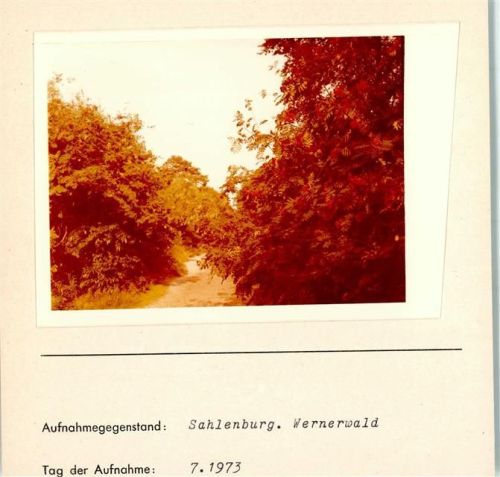 Sahlenburg Wernerwald Foto montiert auf Karton