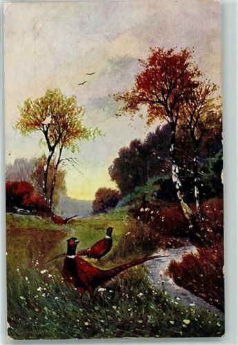 1908 Fasane