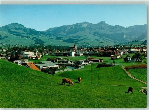 Appenzell mit Fähnern Kamor und Hoher Kasten