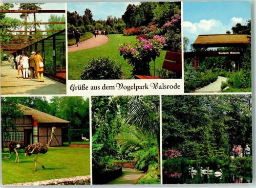 Walsrode Vogelpark Straußengehege
