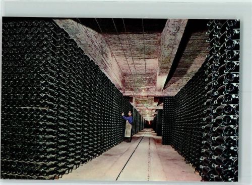 San Sadurni de Noya Cavas Codorniu Botellas envejeciendo