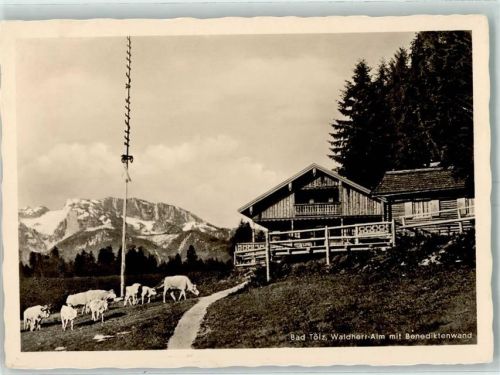 Waldherralm Benediktenwand Kühe Hüttenstempel