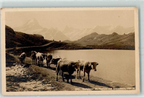 Bachalpsee 1911 am Faulhorn und Schreckhorn