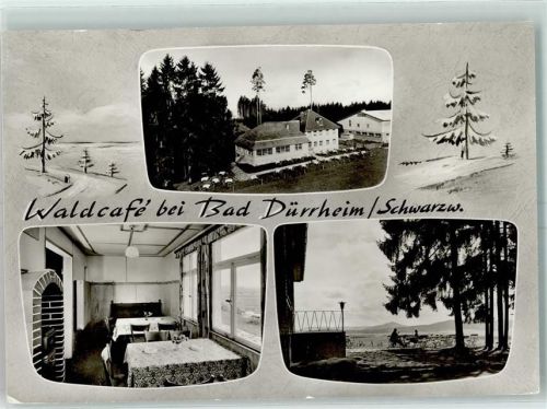 Bad Dürrheim Waldcafe See Schwarzwald