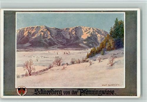 Karte Nr. 595 - Schneeberg von der Pfennigwiese , sign Rud. Schmidt AK Berge