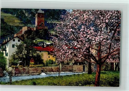 Serie 144 Nr. 2710 Obstblüte in Tirol , gute Erhaltung AK