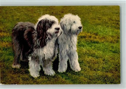 Edition Stehli Nr. 63 Bobtails , englische Schäferhunde - gute Erhaltung