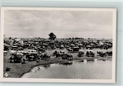 Nr. 537 Magyar Rotophot - Markttag auf der Haide Hortobagy - Marktszene ca 1938 AK