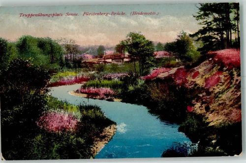 Senne Truppenübungsplatz Fürstenberg Brücke Heidemotiv