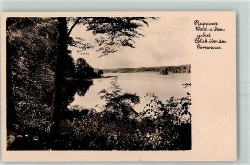 Neuruppin Wald Seegebiet Tornowsee