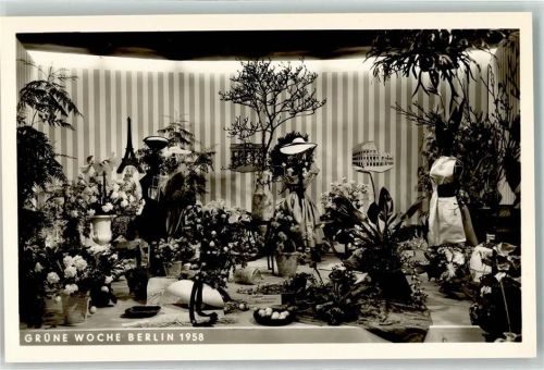 Charlottenburg 1958 Grüne Woche 1958 Blumenbinderei Blumen und Mode
