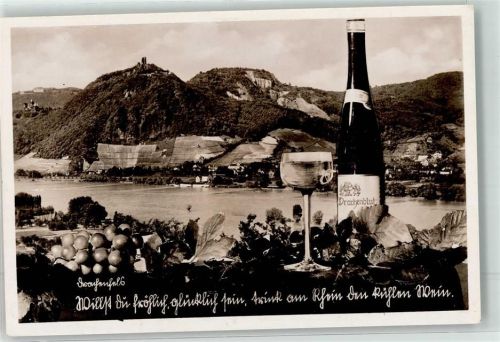 Drachenfels Panorama Siebengebirge Weinflasche Drachenblut Weinglas und Reben