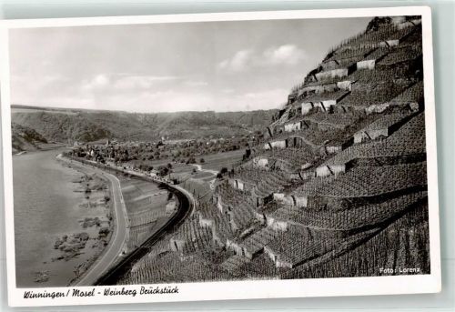 Winningen 1958 Weinberg Brückstück