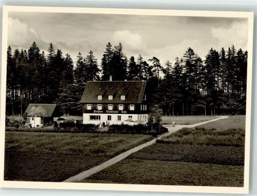 72280 W7295 Hallwangen Foto AK Foto Metz Pension Waldliesel